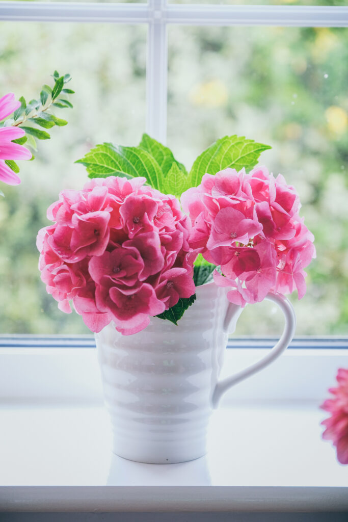Pink hydrangea housewarming gift